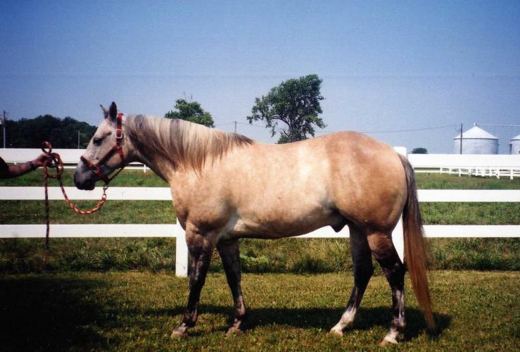 Blakey059